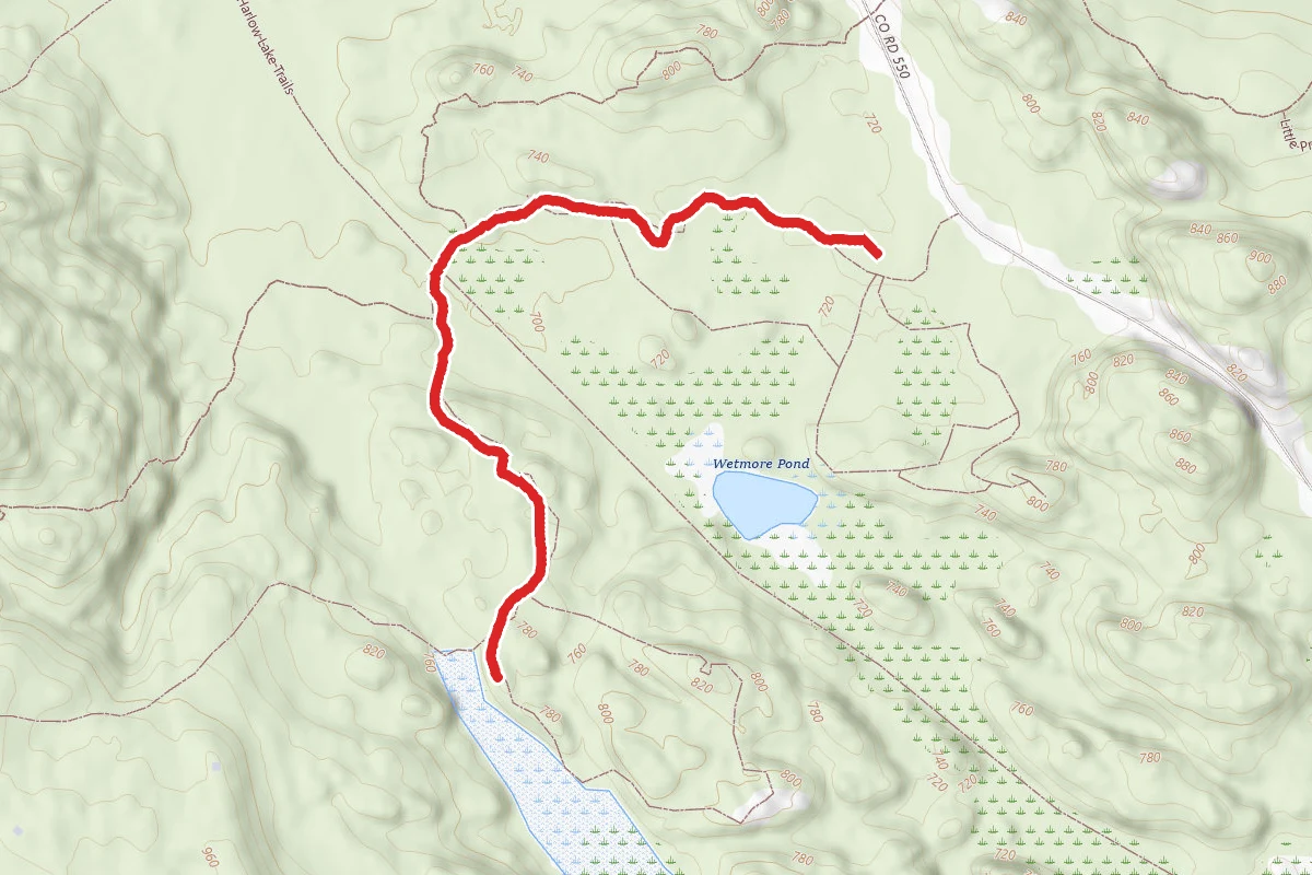 Lilly Pond Trail