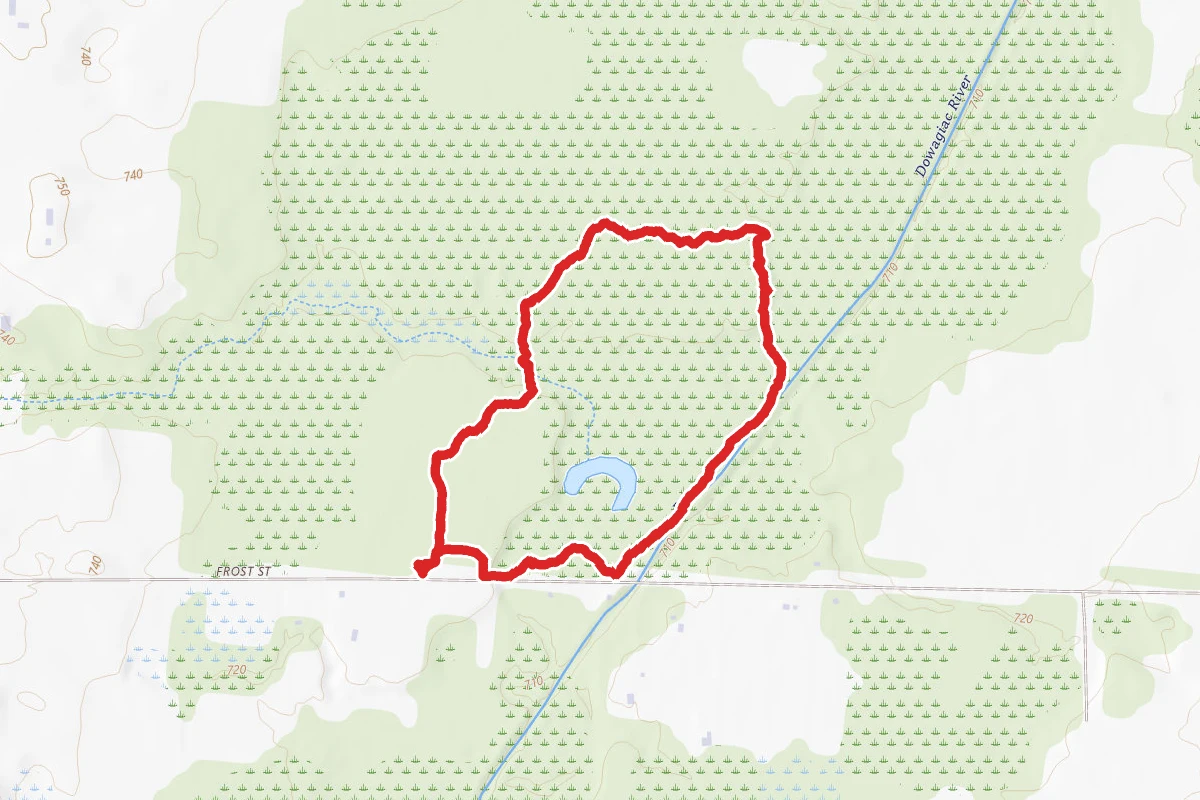 Dowagiac Woods Inner Trail
