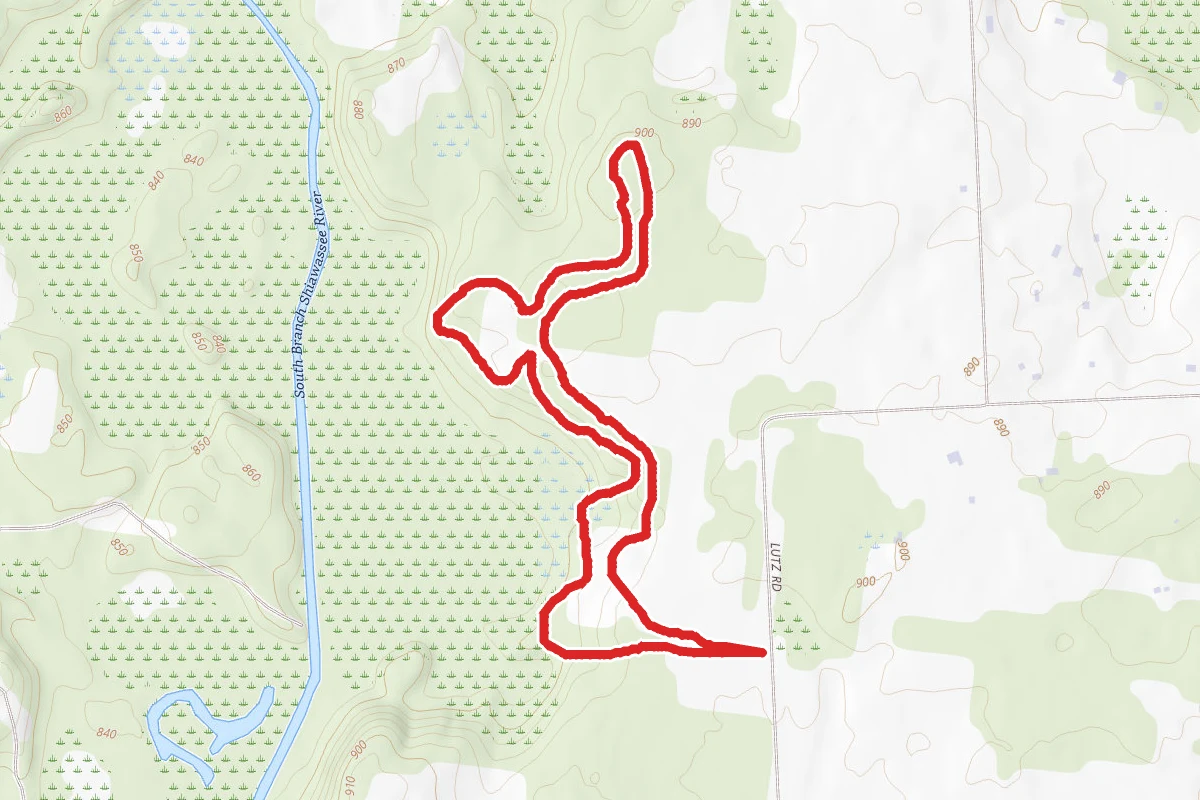 Lutz County Park Trail