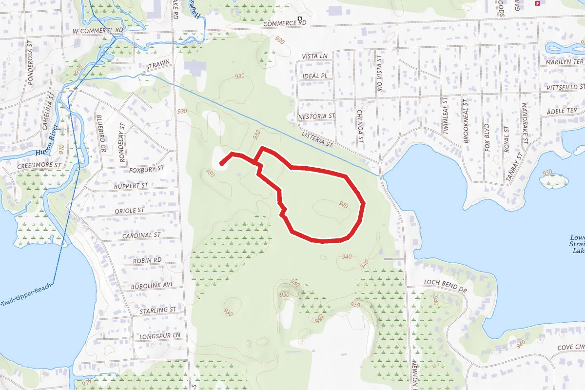 Dodge Park #5 Loop