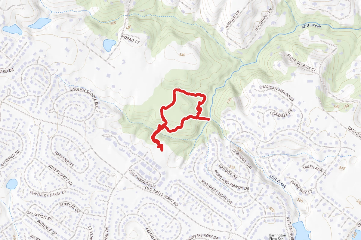 Champ County Park Loop