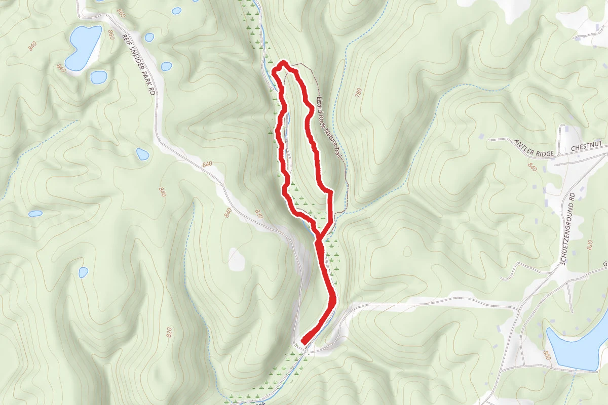 Reifsnider State Forest Trail