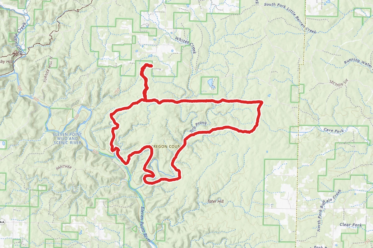 White's Creek Trail from Brawley Pond Trailhead