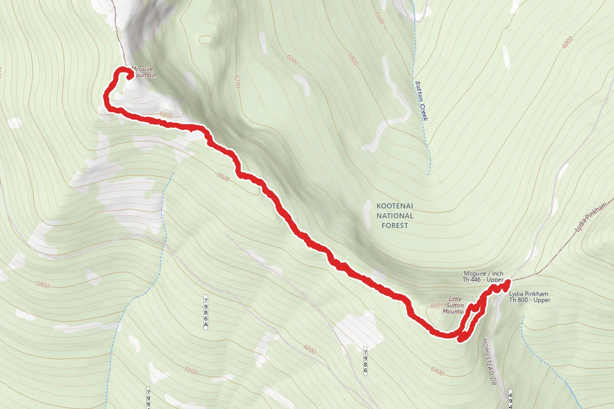 McGuire Lookout Trail