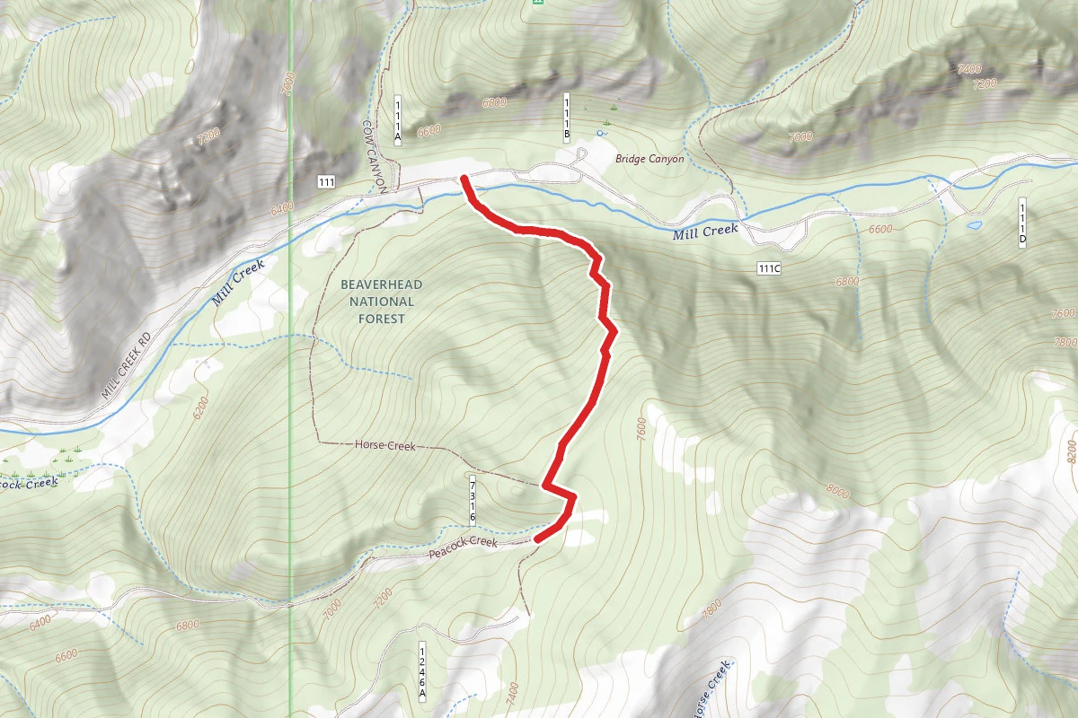 Peacock Creek Trail