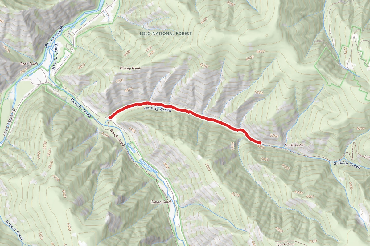Grizzly Creek
