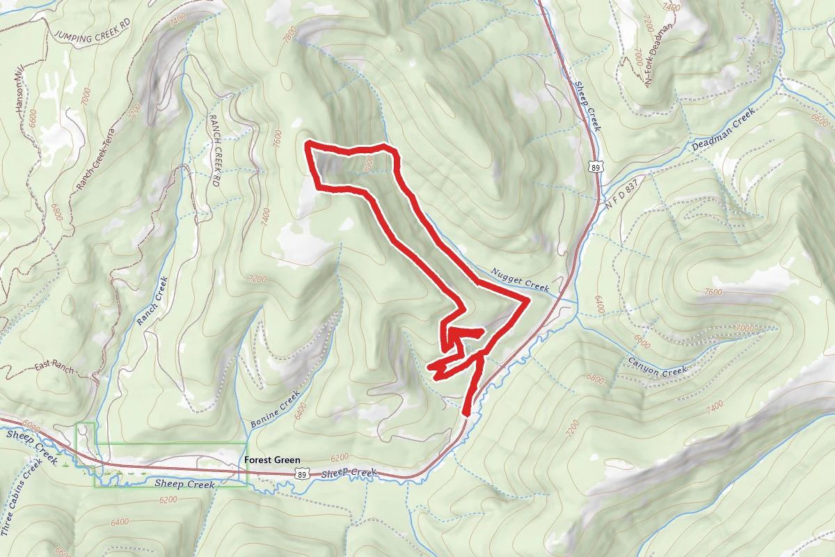 Kings Hill Pass Trail