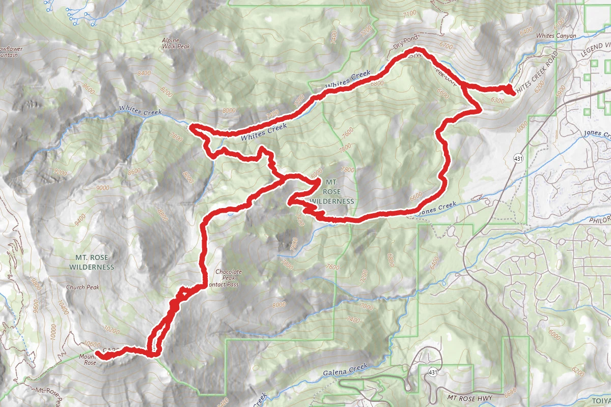 Mount Rose via Whites Creek TH