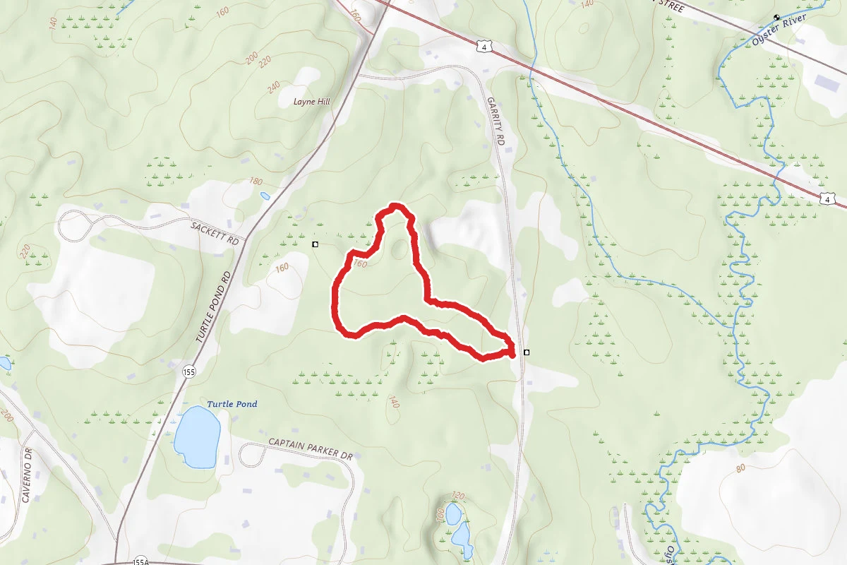 Maud Jones Memorial Forest Trail