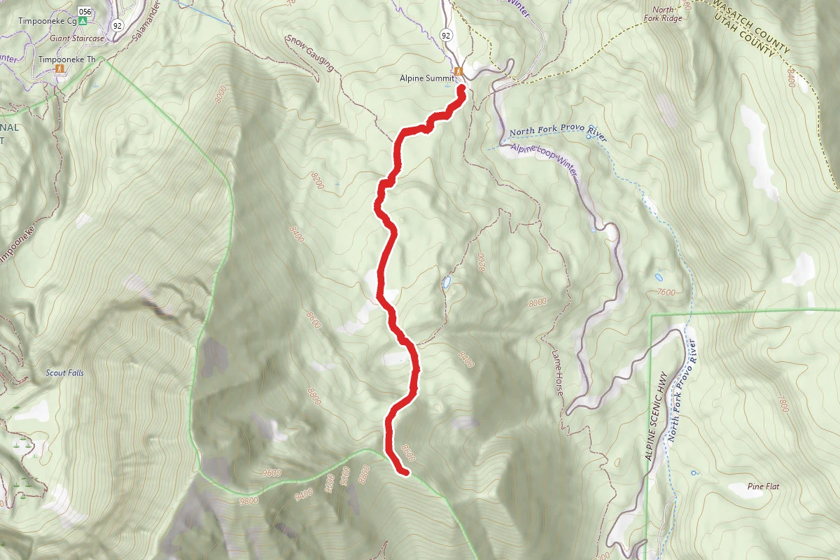 Primrose Overlook via Horse Flat Trail