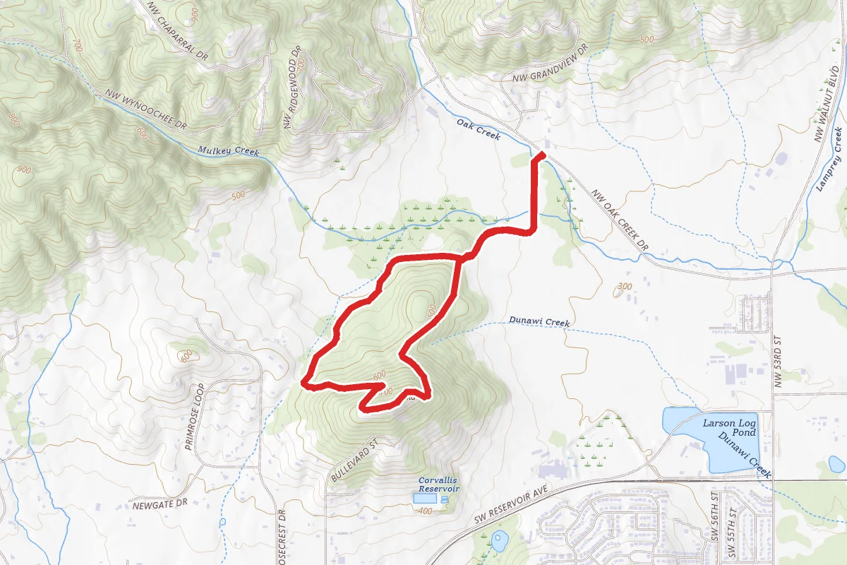Bald Hill Trail