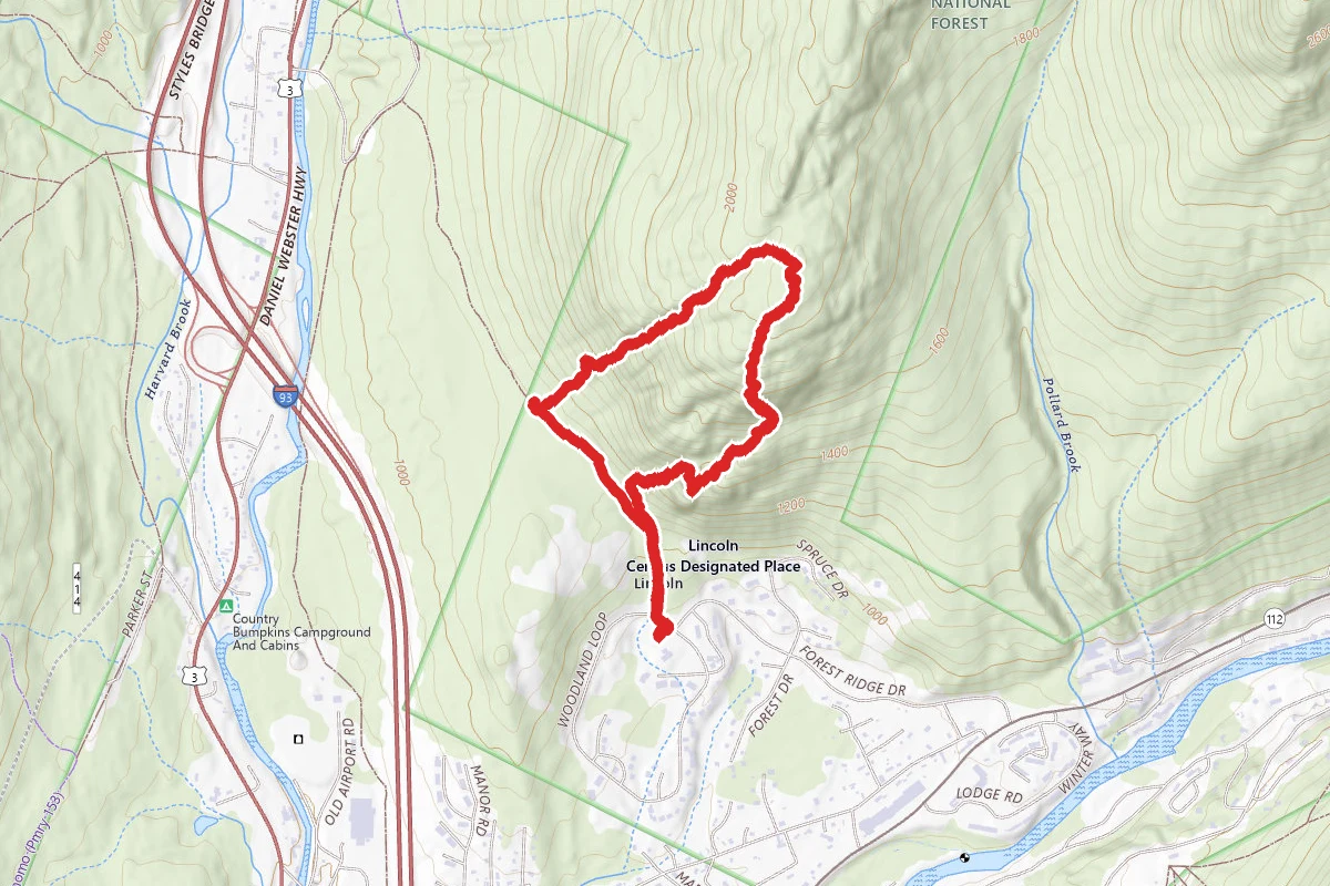 Little Coolidge Shoulder Summit