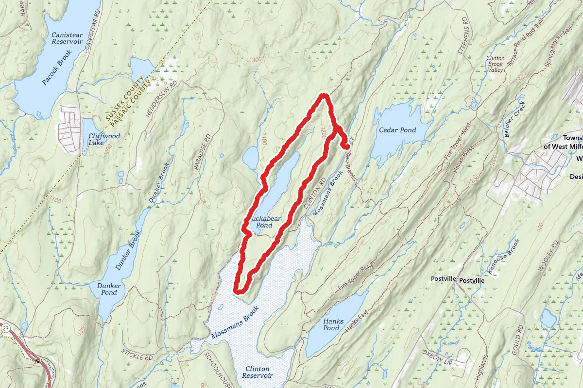 Buckabear Pond Loop
