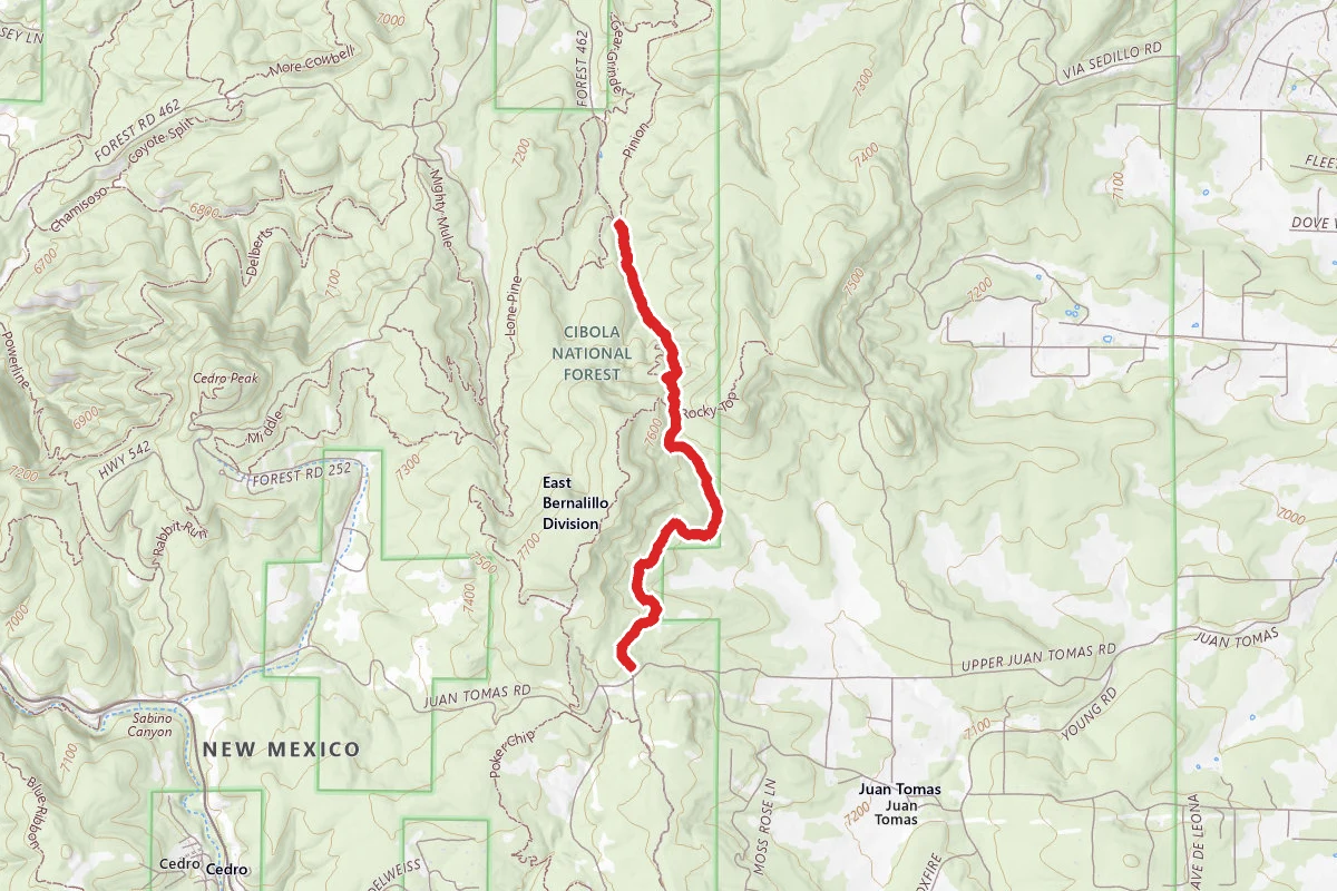 Bear Scat Trail