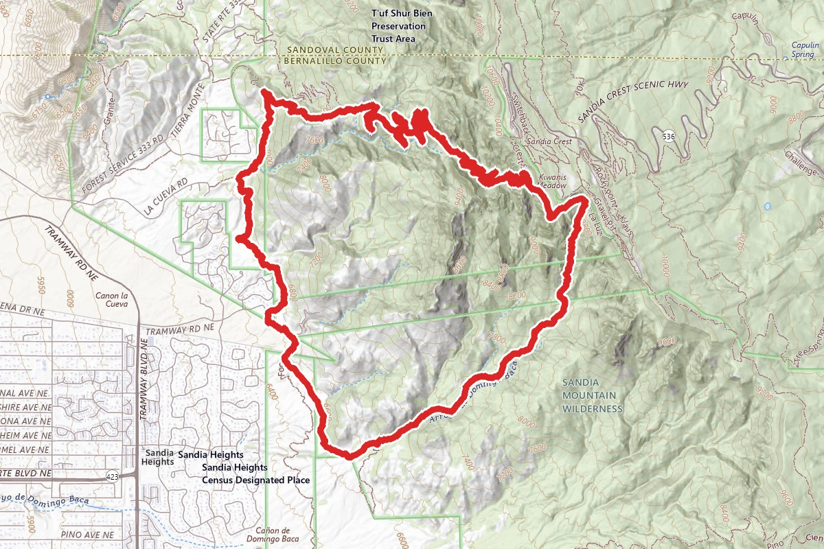 Domingo Baca and La Luz Loop