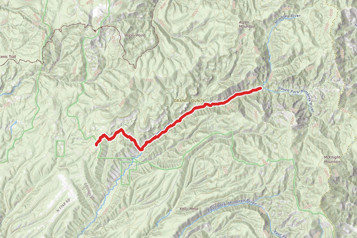 Mimbres River Trail