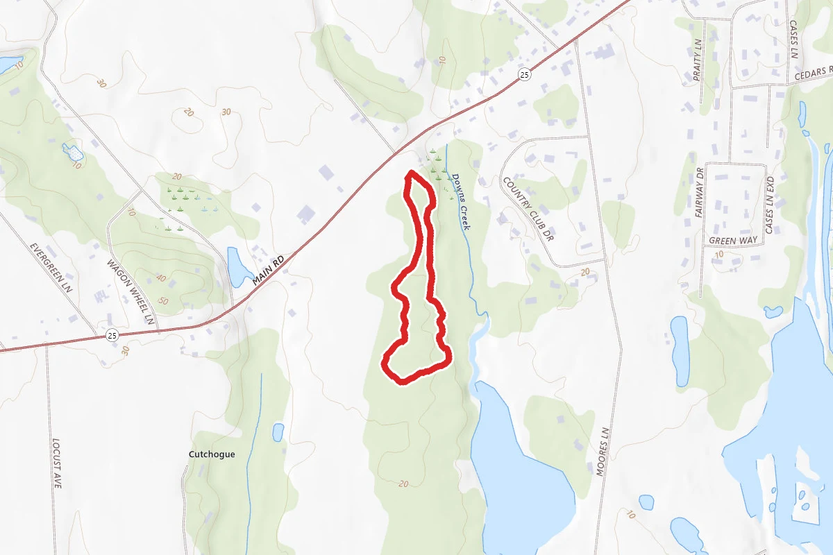 Downs Farm Preserve Loop