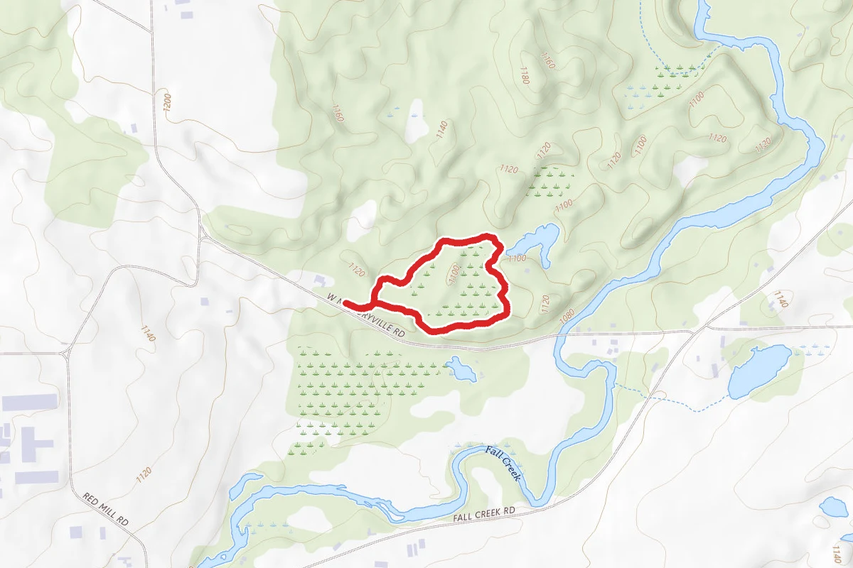 Von Engeln Preserve Loop
