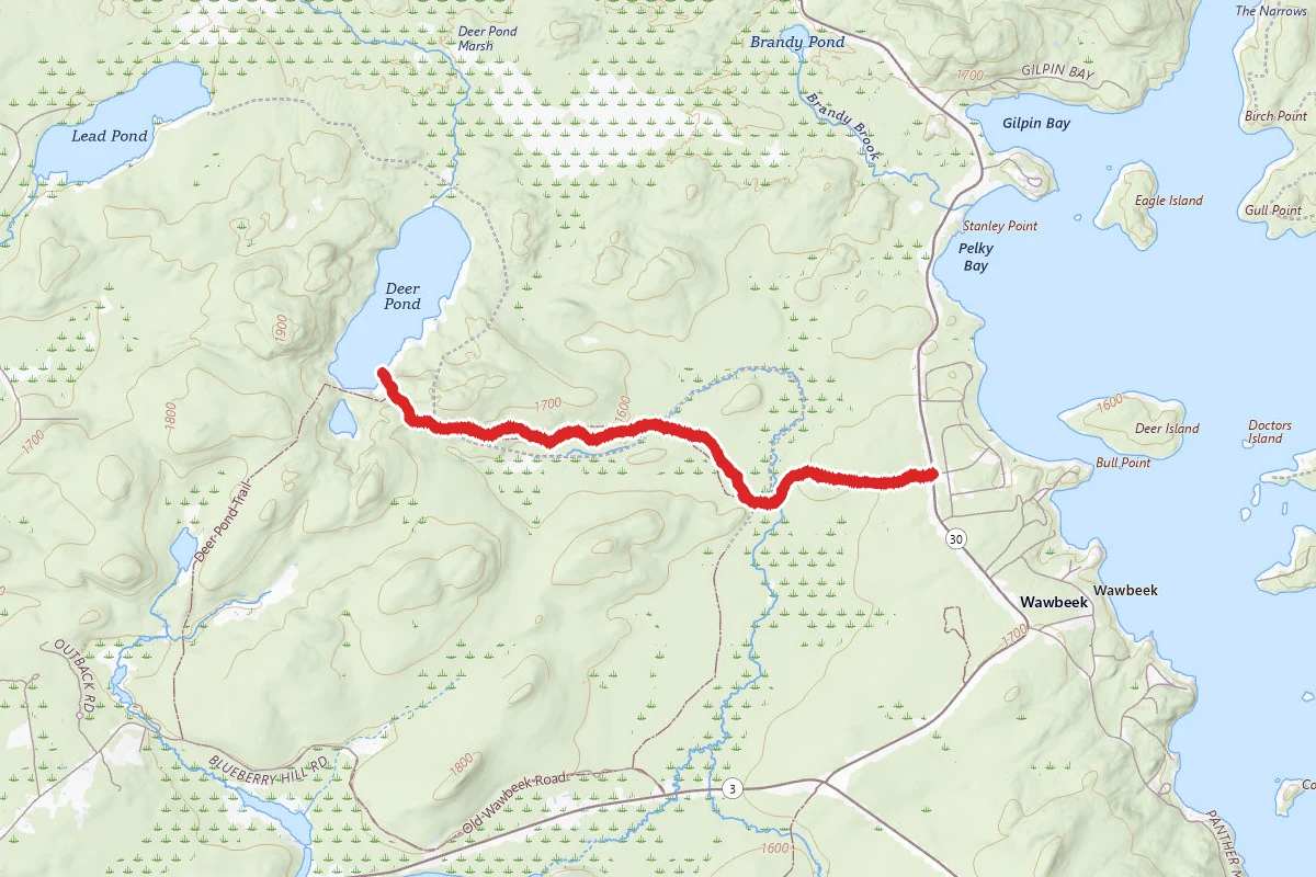 Deer Pond Trail