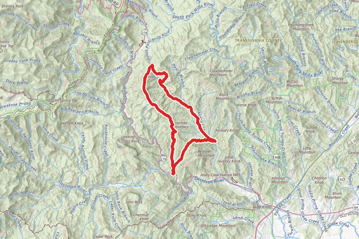 Coontree Loop