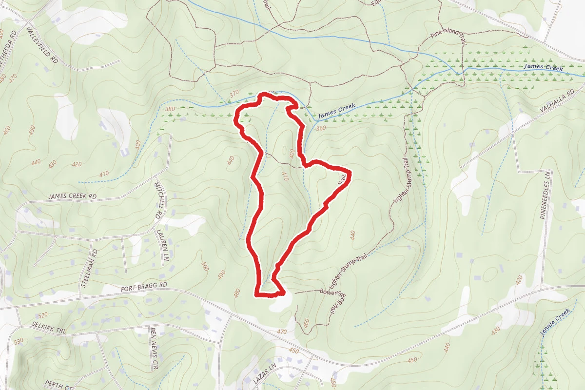 Pine Barren and Gum Swamp Loop