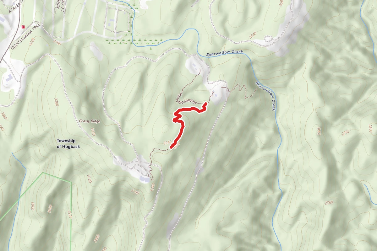 Bearwallow Overlook Trail