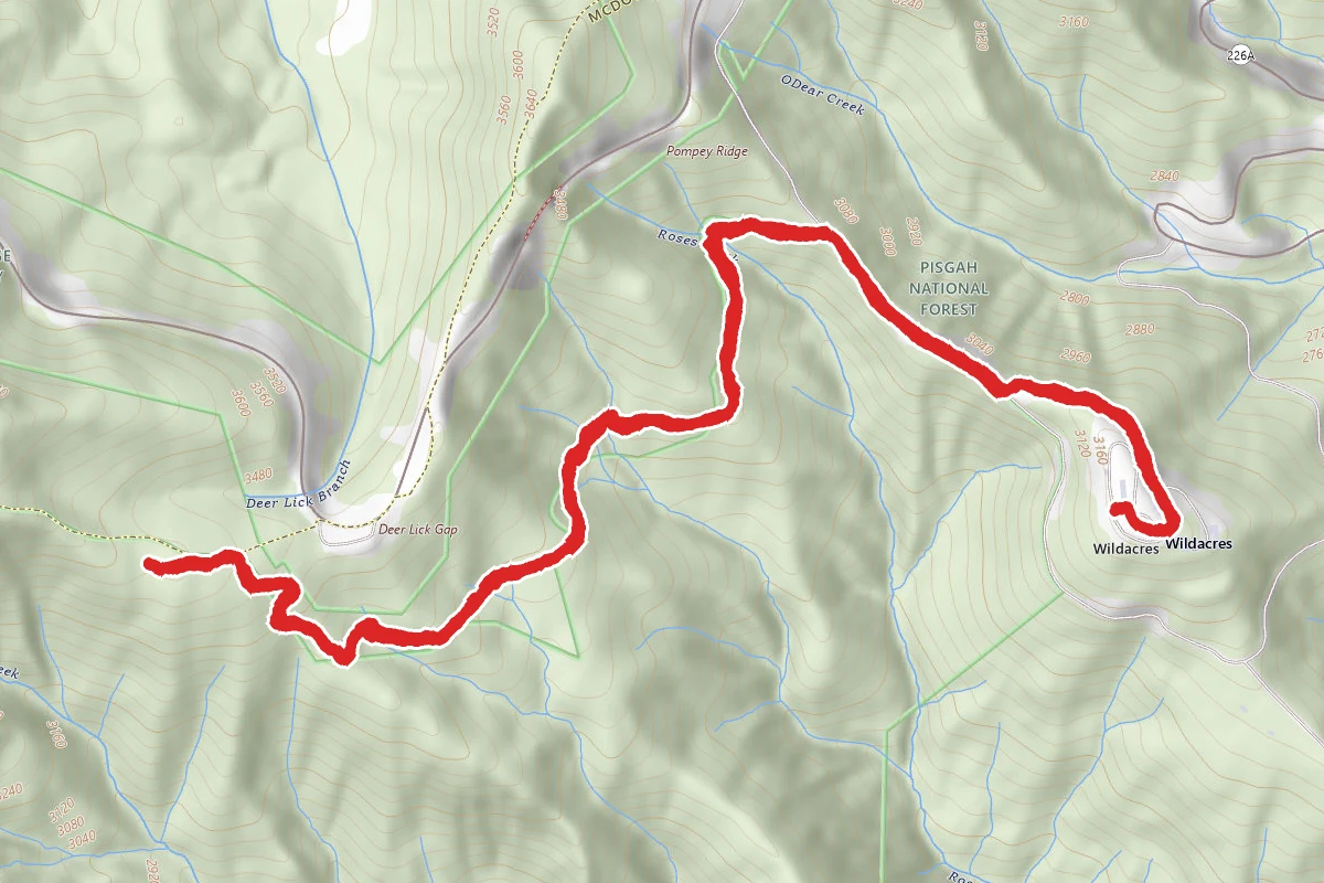 Deerlick Gap Overlook