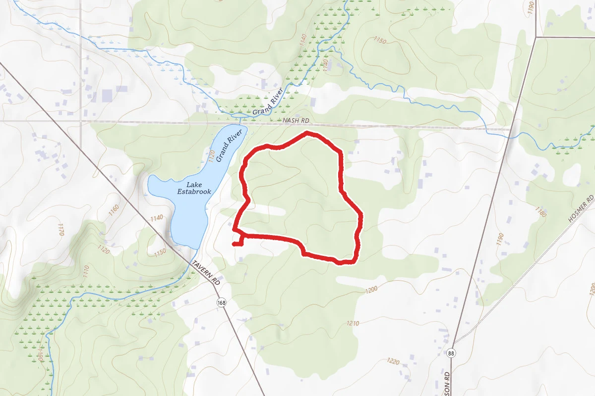 Chickagami Park Loop