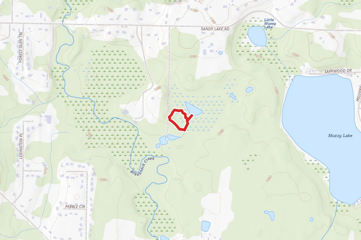 Triangle Lake Bog State Nature Preserve Loop