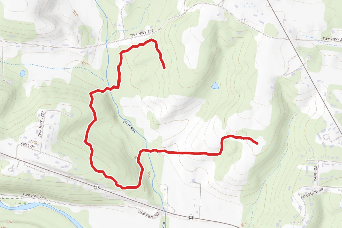Corridor Trail to New Gambier Loop Trail
