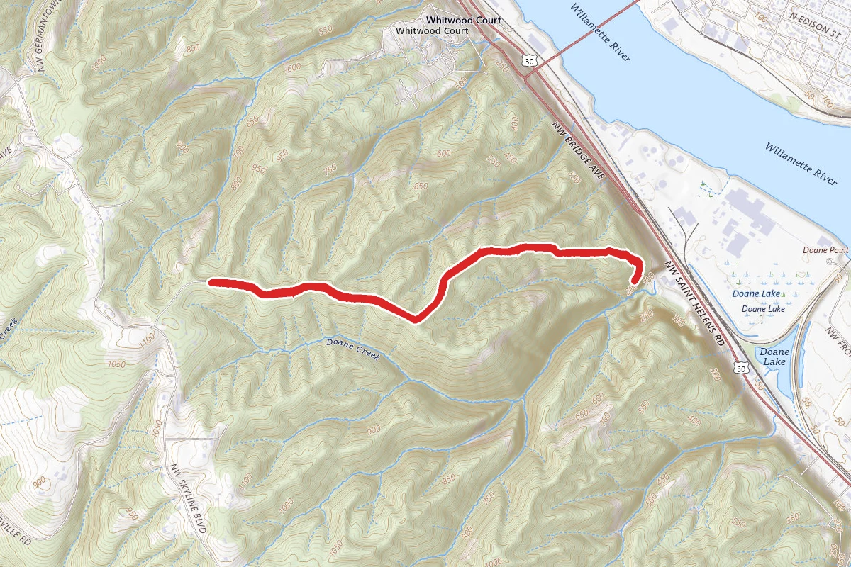 Fireland Road to Gasline Trail