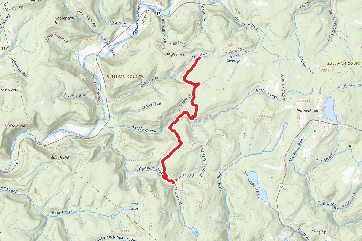 Loyalsock Trail from Brunnerdale Road