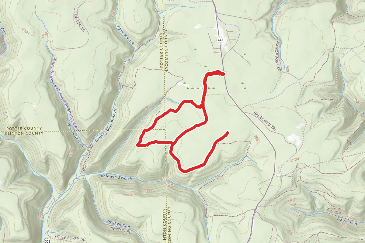 Blackberry Trail