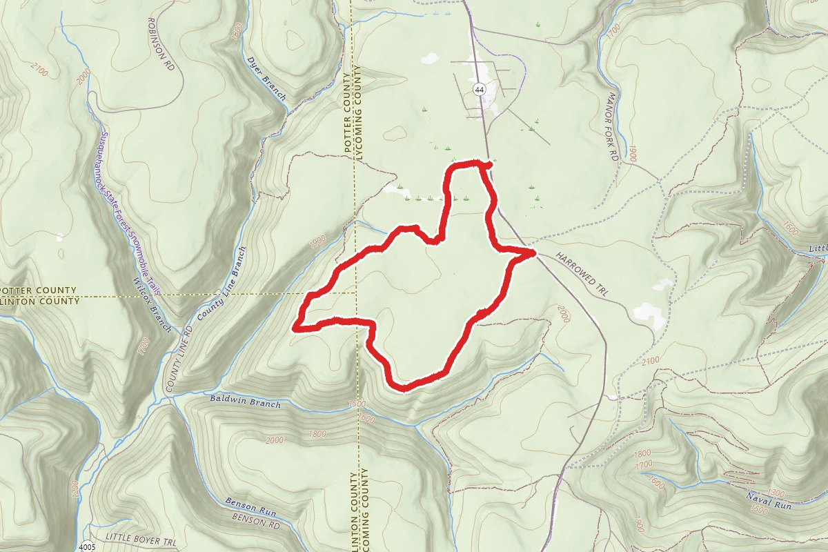 Blackberry to Black Forest Trail Loop