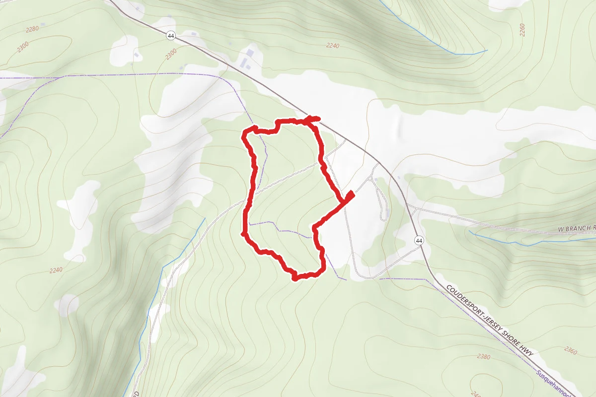 Cherry Springs State Park Interpretive Trail