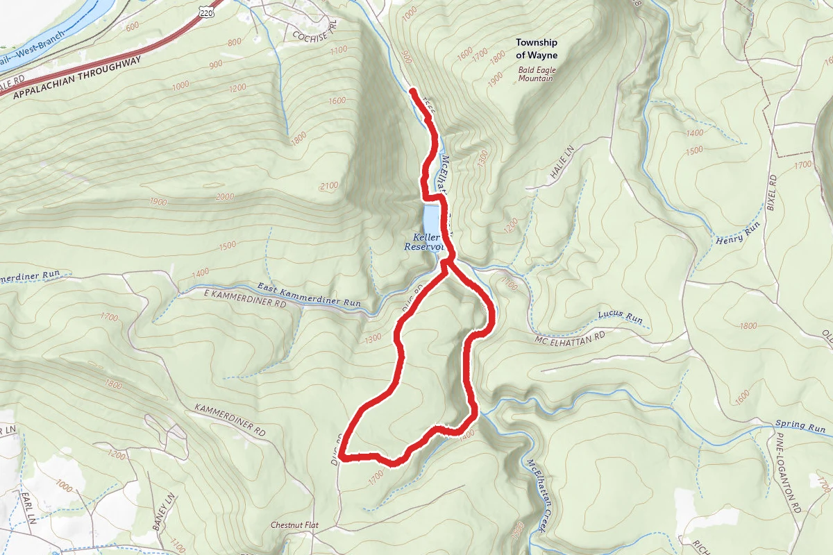 The Giant Steps Trail