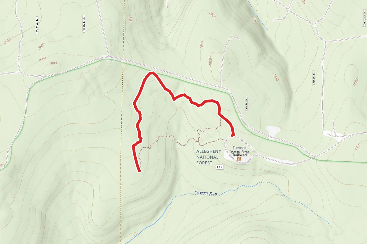 Tionesta National Scenic Area Trail