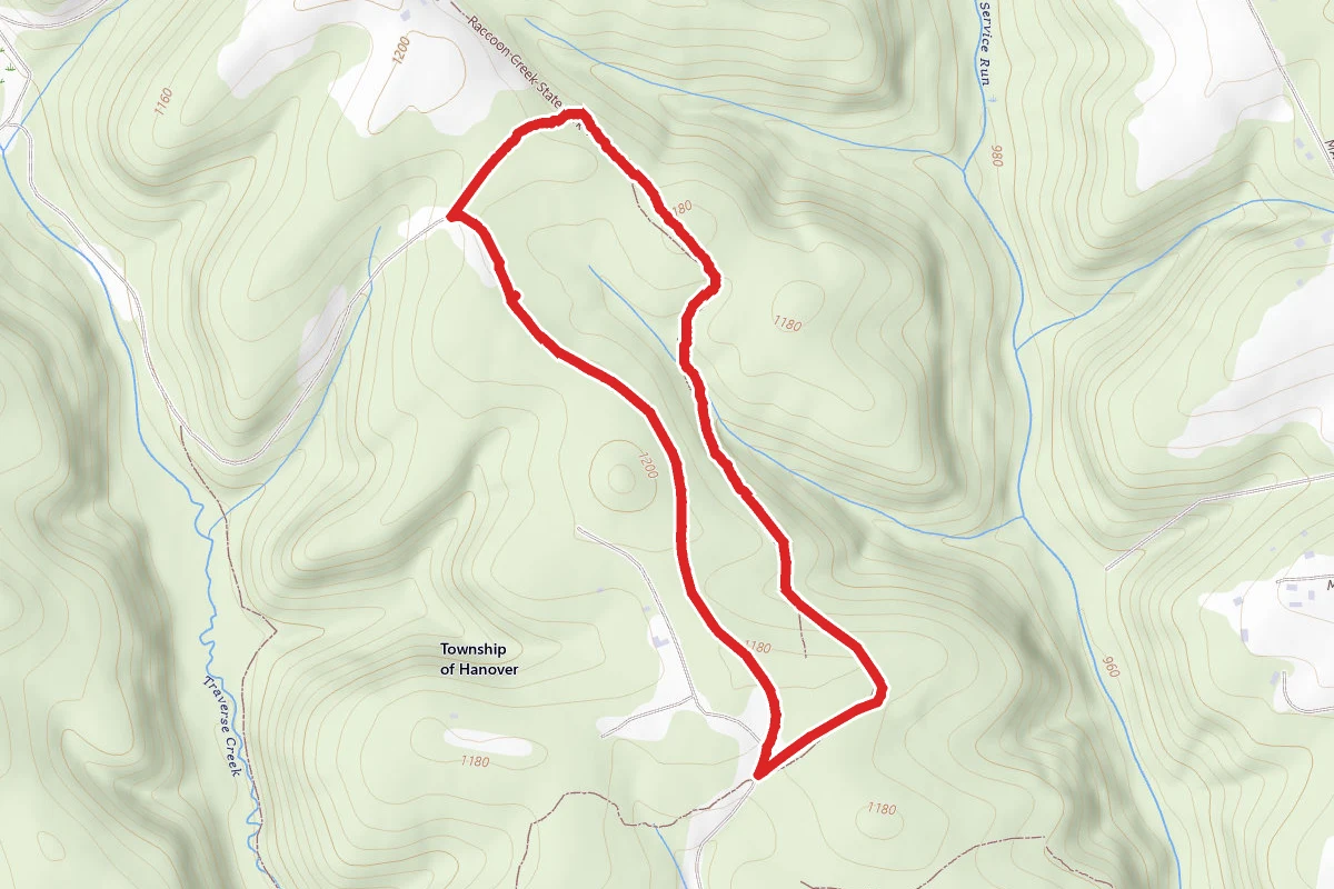 Palomino Loop