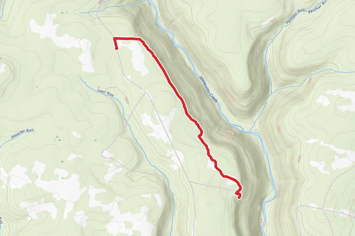 Quehanna Trail from Lost Run Road