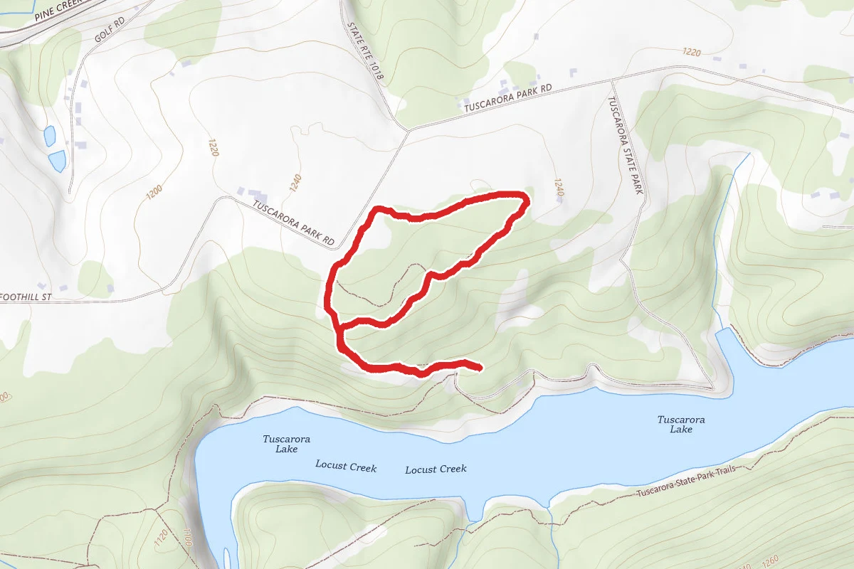 Old Log Trail, Forest Edge Trail, and Laurel Trail Loop