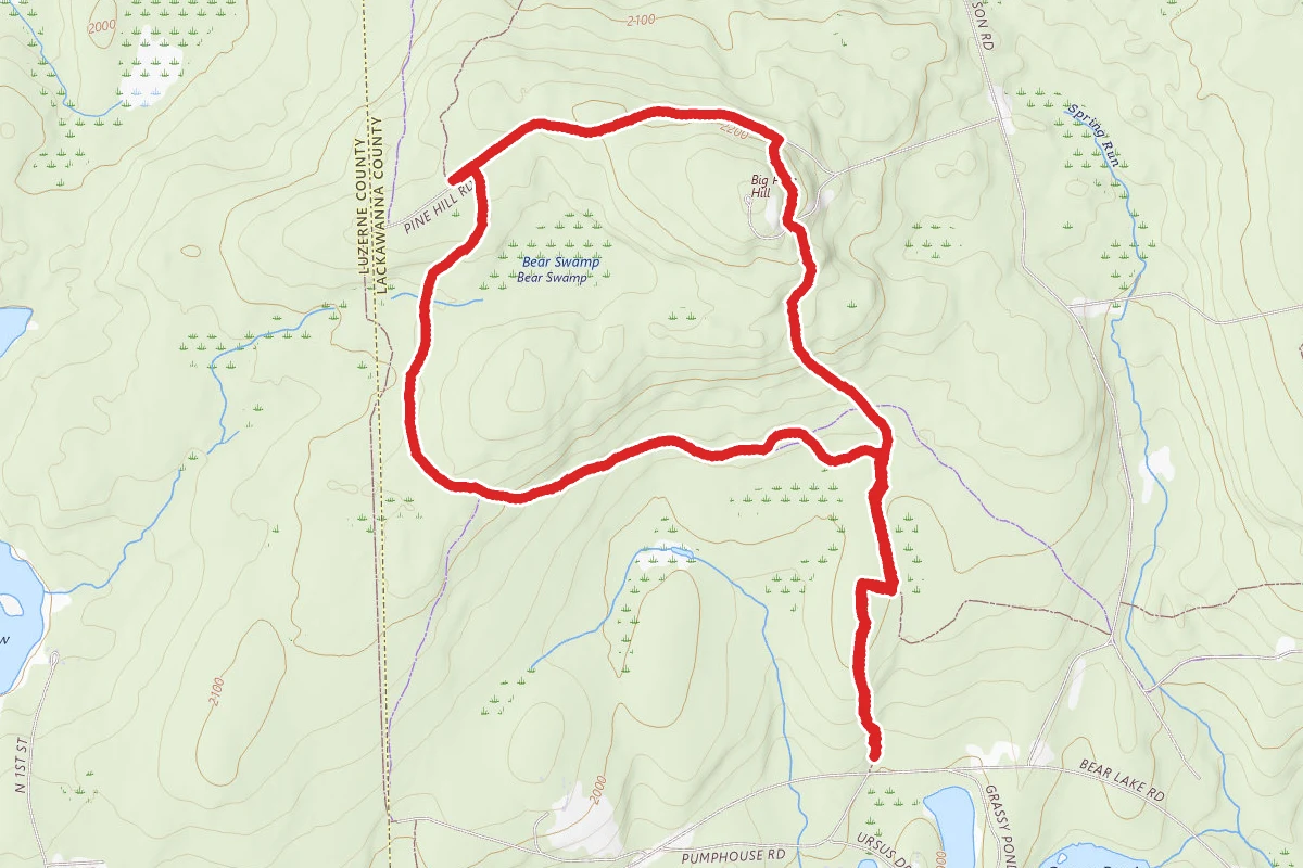 Pine Hill and Bear Swamp Trail Loop