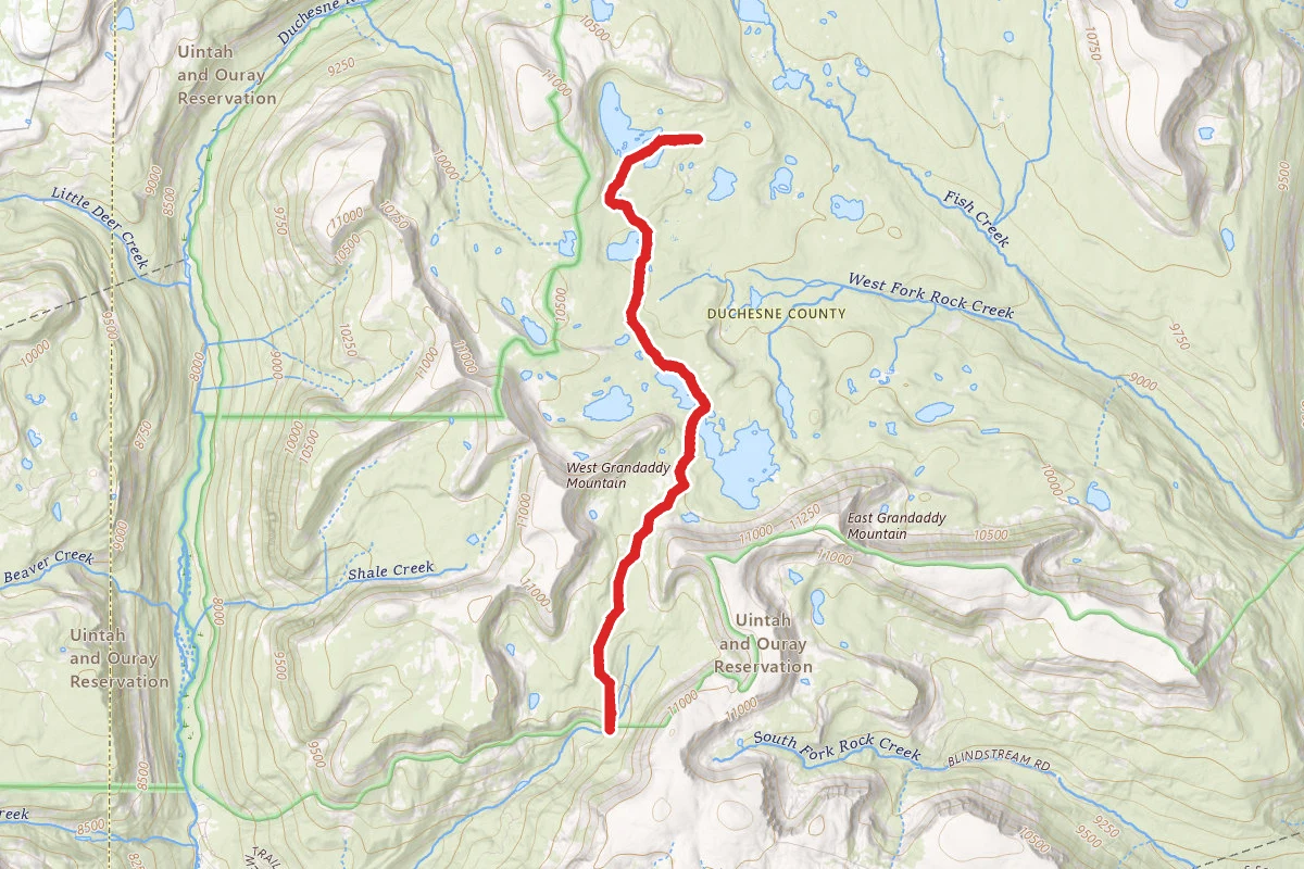 Pine Island Lake Trail