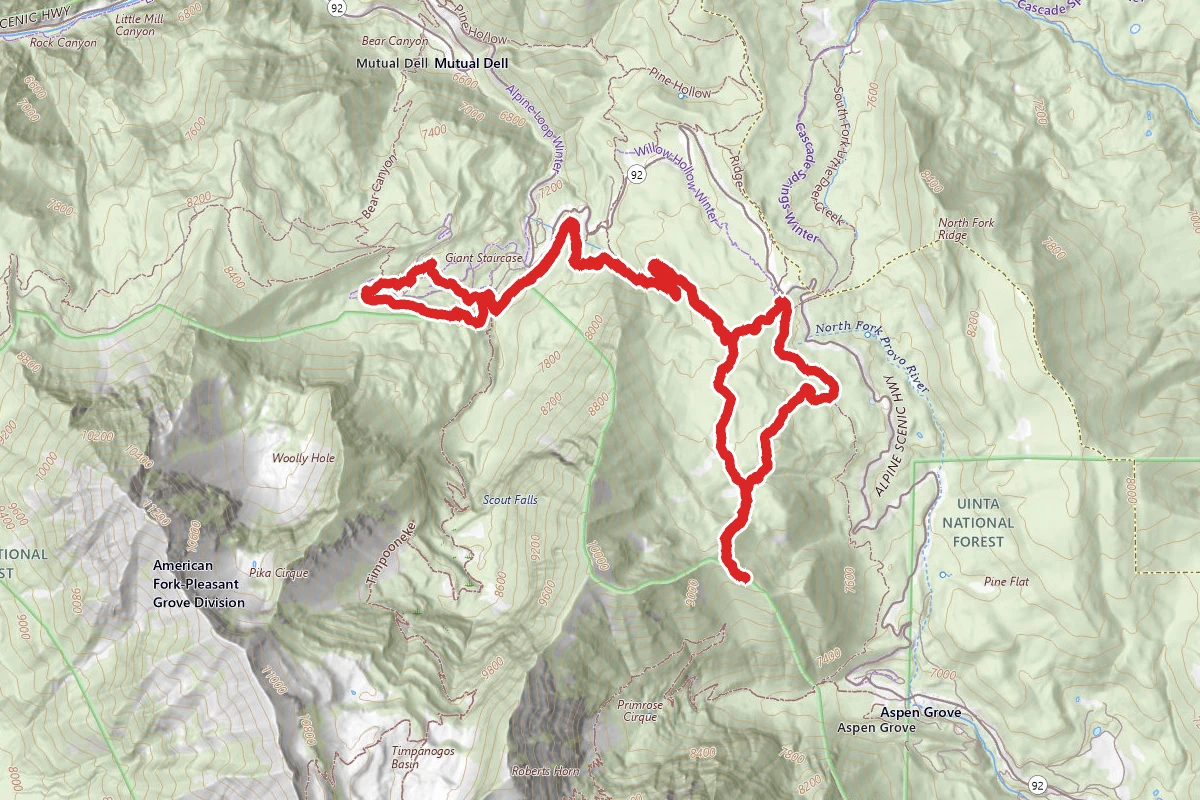 Salamander Flat Trail to Horse Flat Trail Loop