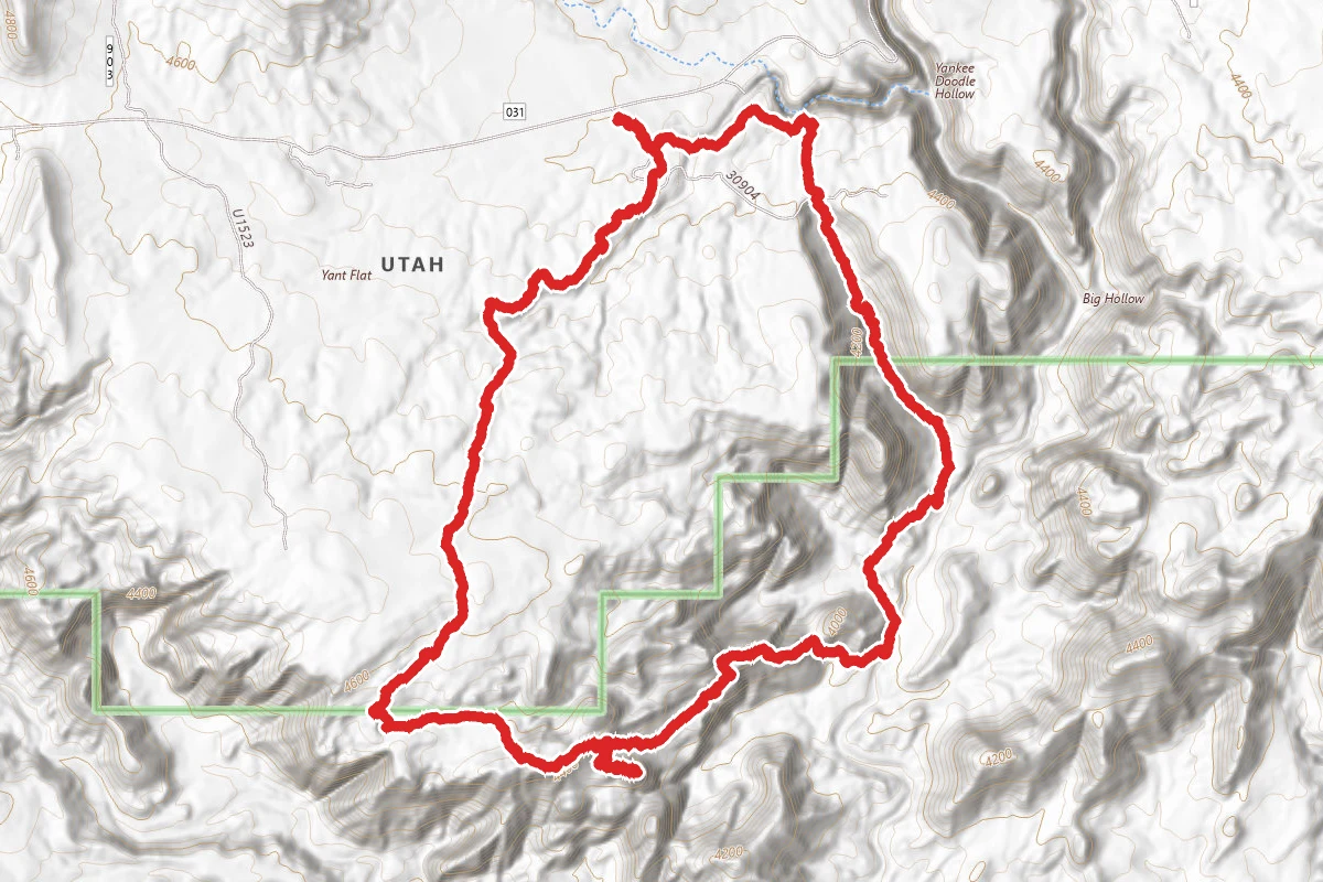 Yant Flat Extended Loop