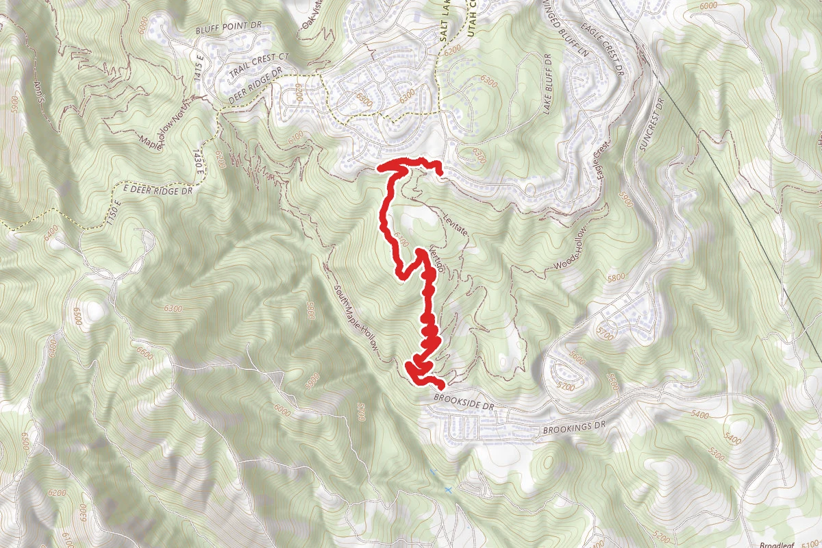 Zooropa Trail