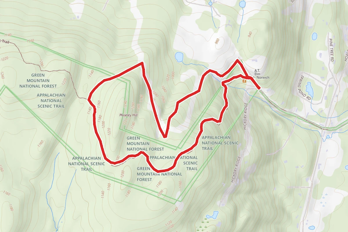 Mosley Hill via Appalachian Trail Loop