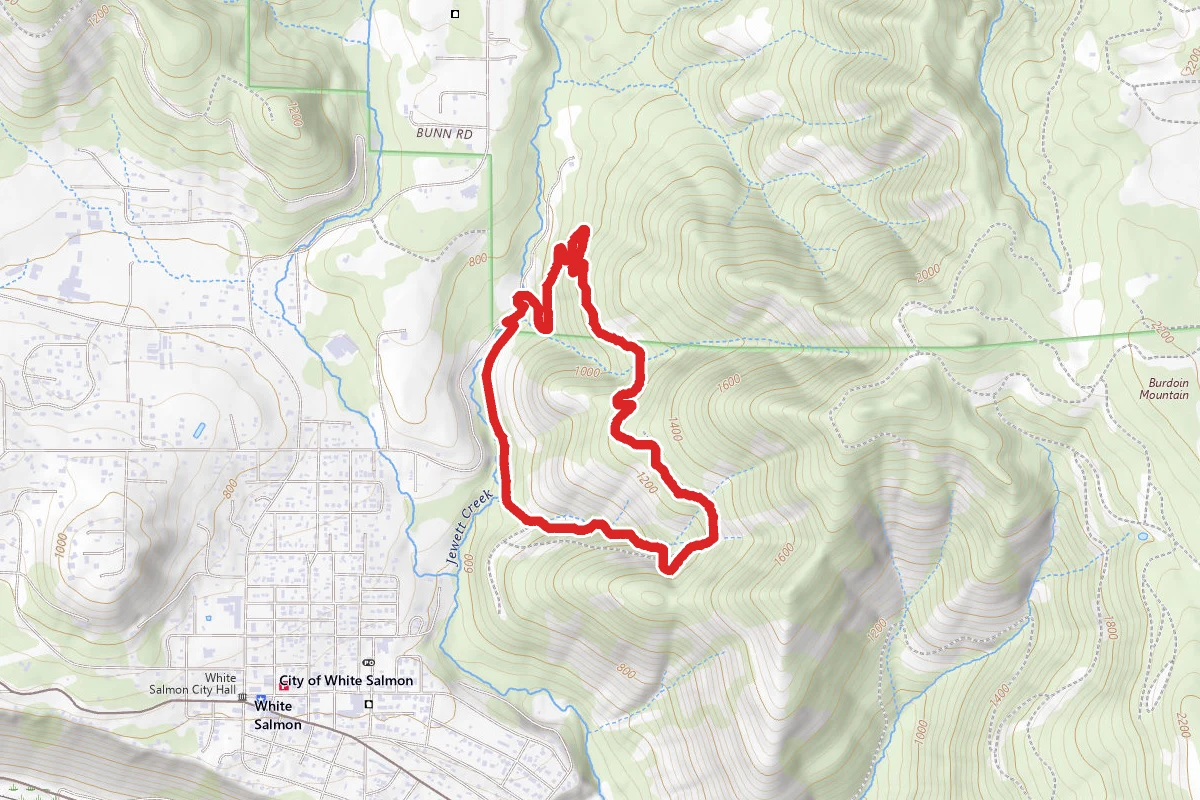 Oakey Pokey and Crazy Cajun Trail Loop