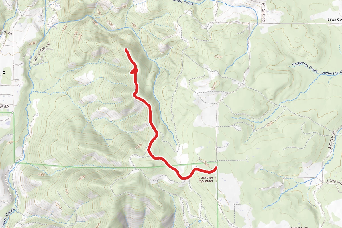 Triple Bypass Trail