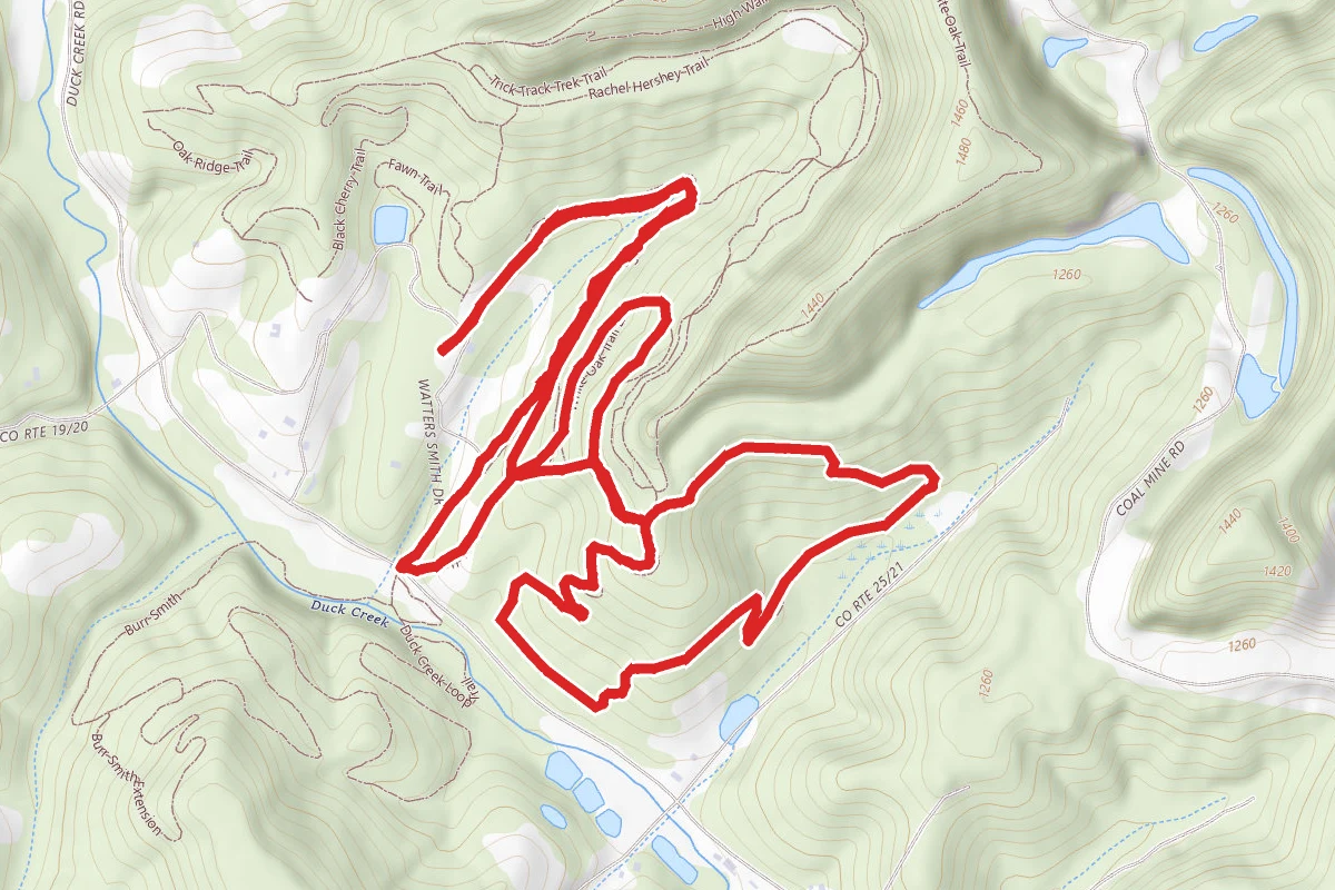 White Oak to Hickory Loop Trail