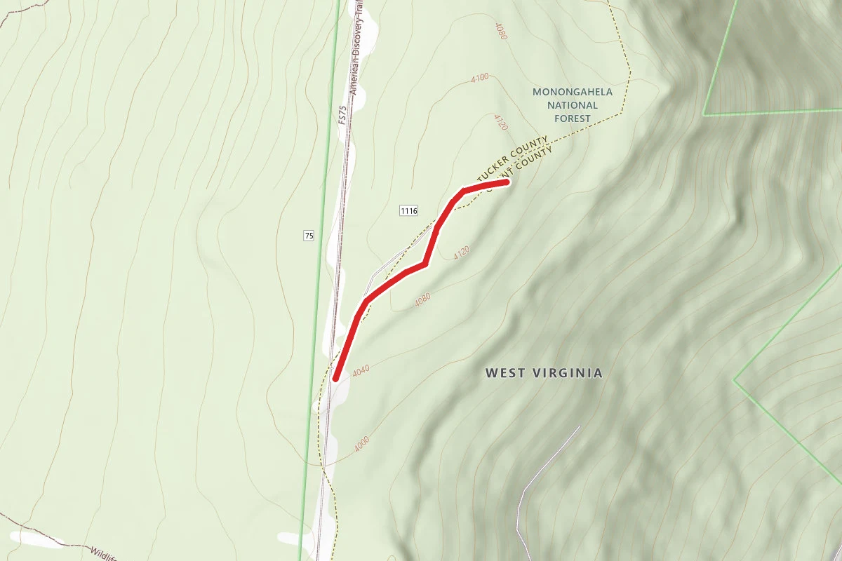 Bell Knob Lookout Tower Trail